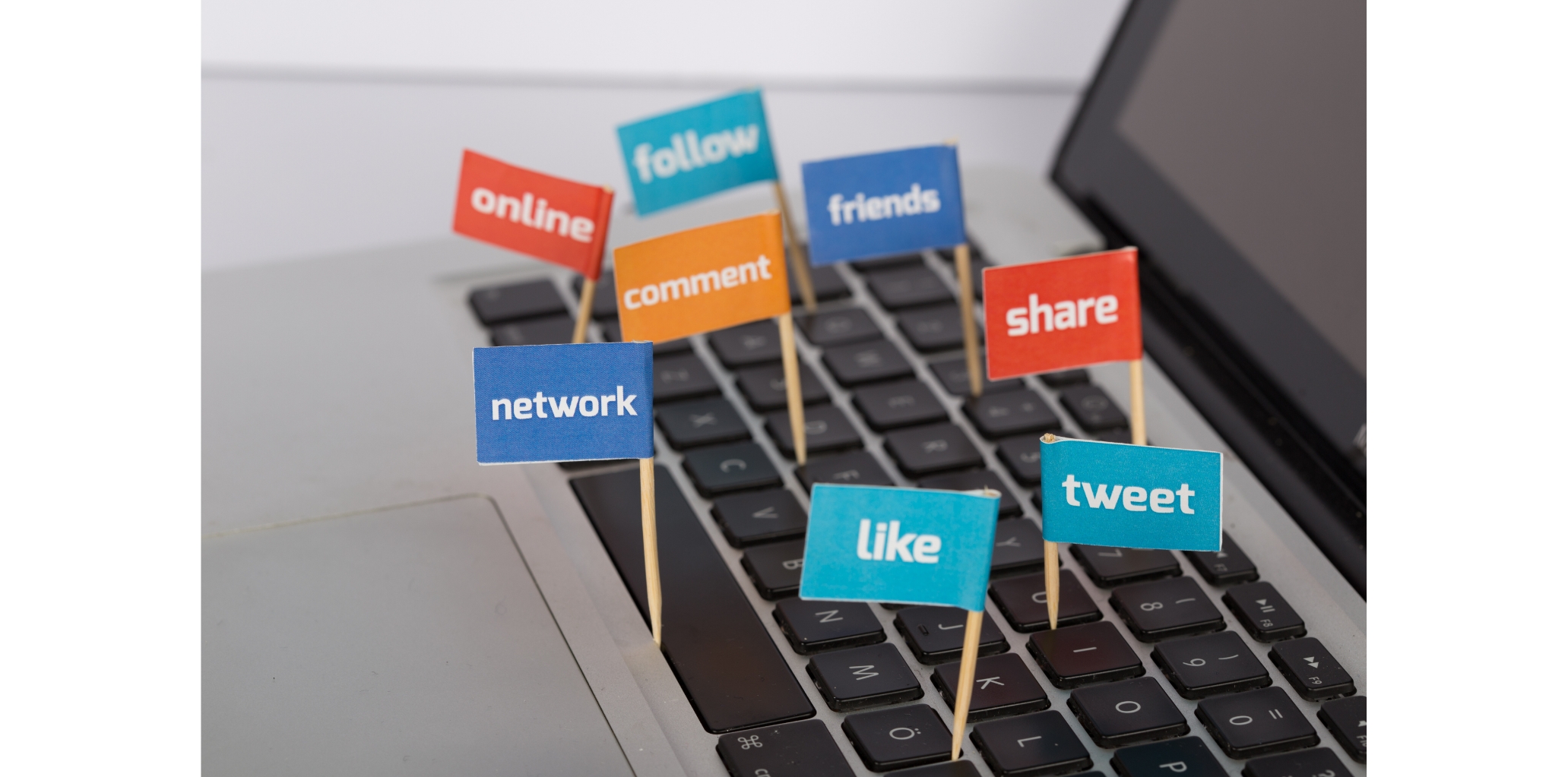 digital marketing, social media manager, campaign planning, marketing assistant, content calendar, brand strategist, email marketing